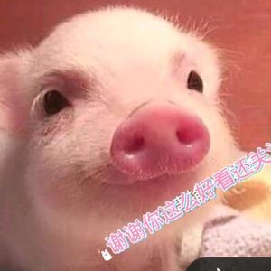 咪咪影视混剪合集头像