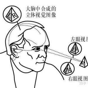 创意交互程序+裸眼3D视频头像