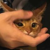 用户8172961306386头像