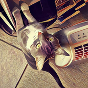 allen961031的个人资料头像