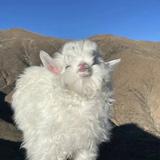 用户5425758474766头像