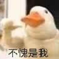 小帅哥奇遇记头像