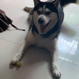 看爱鬼片头像