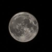 用户2344478030999头像