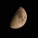 启东小海鲜的个人资料头像