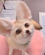 银漠黑沙的个人资料头像