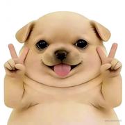 一心只想跑路的个人资料头像