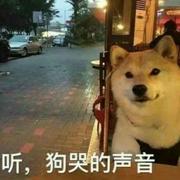 青竹小轩91的个人资料头像