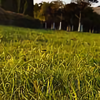 1时间是贼1头像