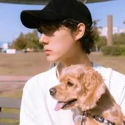 爱情码头的个人资料头像