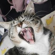 luuua的个人资料头像