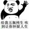 石头193143179头像