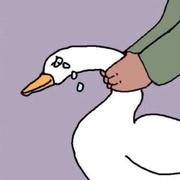 didddd的个人资料头像