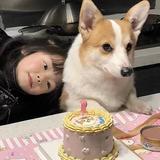 用户1320388630667头像