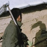 用户2802940247971头像