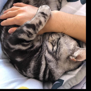 淡然浅笑的个人资料头像