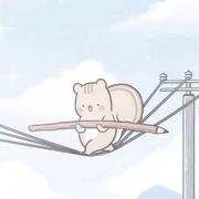 成长的大喵的个人资料头像