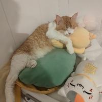 用户4441023140629头像