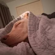 韩松明的个人资料头像