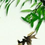 醉丶春风的个人资料头像