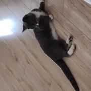 xxyy_的个人资料头像