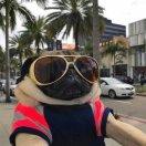 SNAKE的个人资料头像