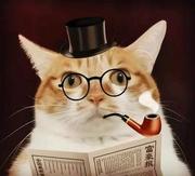 块状混凝土空间移动工程师的个人资料头像