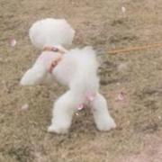 丑八怪二号的个人资料头像