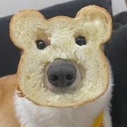 前面端菜的个人资料头像