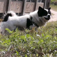 大宝贝和小乖乖哒头像