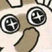 七重樱的个人资料头像