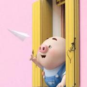 小曳Bi的个人资料头像