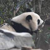 万万没想到4741头像