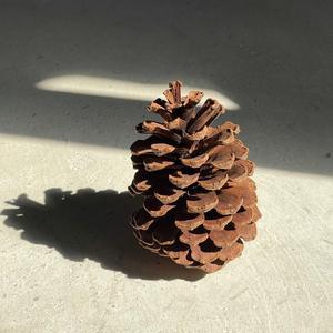 铁齿钢牙丁丁头像