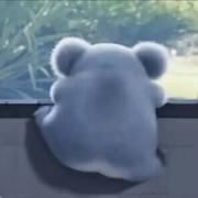 郁闷小豪仔的个人资料头像