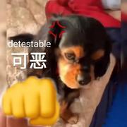 麻了麻了的个人资料头像