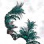 IT程的个人资料头像