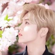 鹿晗的个人资料头像