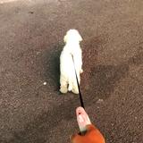 脱油她头像