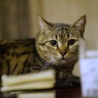 腰不酸的水煮蛋头像