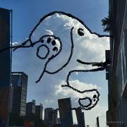 阳阳阳阳的个人资料头像