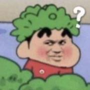 lazygirl的个人资料头像