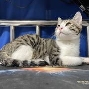 啊bc的个人资料头像