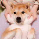 undefined的个人资料头像