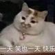 用户100484123281头像