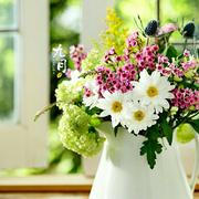 那奏这样呗的个人资料头像