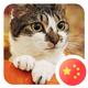 BOBO4306头像