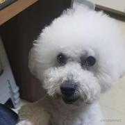 ttcoecop的个人资料头像