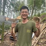 蜀南竹海共享农场飘渺陈头像