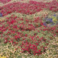 用户5497464246908头像